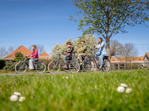 Landal De Soeten Haert - Camping Renesse