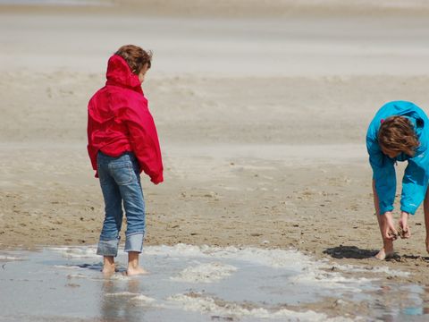 Landal Kustpark Texel - Camping Texel