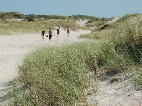 Landal Kustpark Texel - Camping Texel
