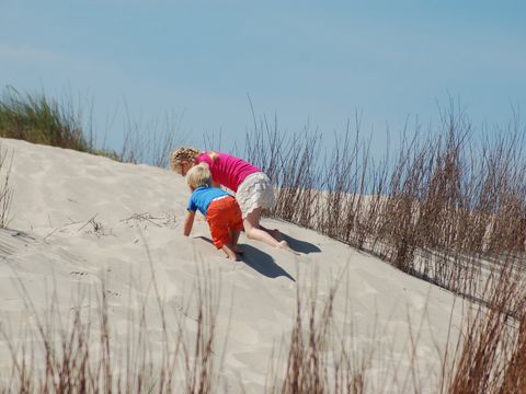 Landal Kustpark Texel - Camping Texel