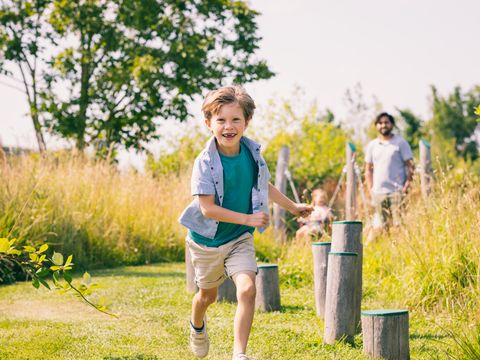 Summio Vakantiepark Zeedijk - Camping Goeree-Overflakkee - Image N°2