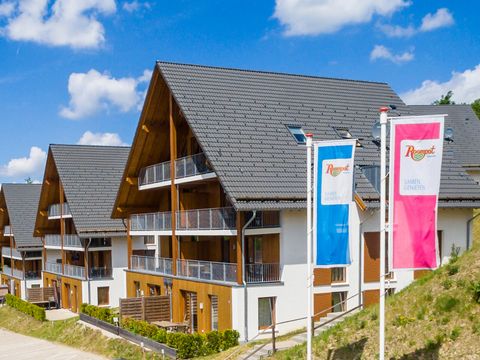 Landal Bergresort Winterberg - Camping Rhénanie du Nord-Westphalie - Image N°3