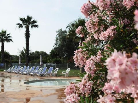 Club Belambra Le Vidourle - Camping Gard