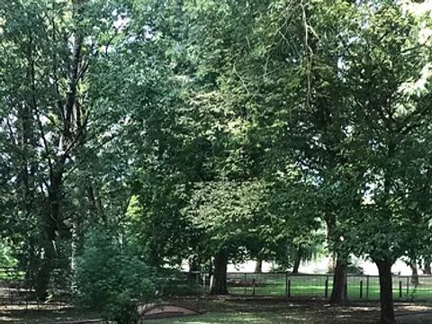 Camping La Nouvelle Plage - Camping Indre-et-Loire