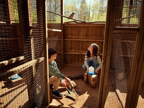 Center Parcs Le Bois aux Daims - Camping Vienne