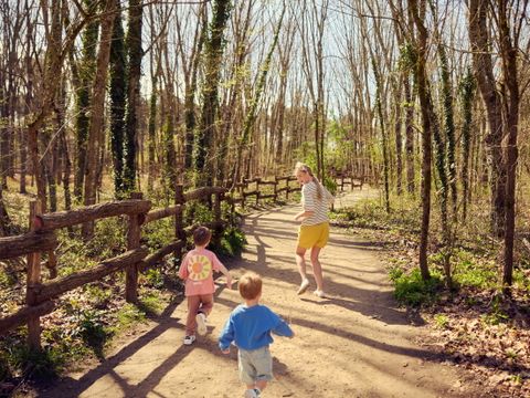 Center Parcs Le Bois aux Daims - Camping Vienne - Image N°67