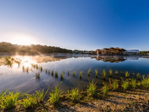 Center Parcs Le Bois aux Daims - Camping Vienne - Image N°24