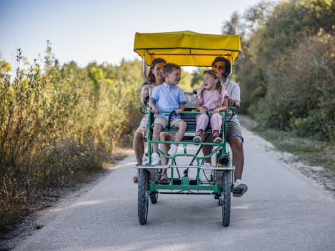 Center Parcs Le Bois aux Daims - Camping Vienne