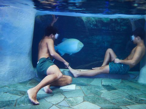 Center Parcs Le Bois aux Daims - Camping Vienne