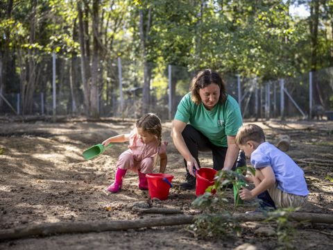 Center Parcs Le Bois aux Daims - Camping Vienne - Image N°47