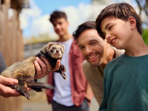 Center Parcs Le Bois aux Daims - Camping Vienne