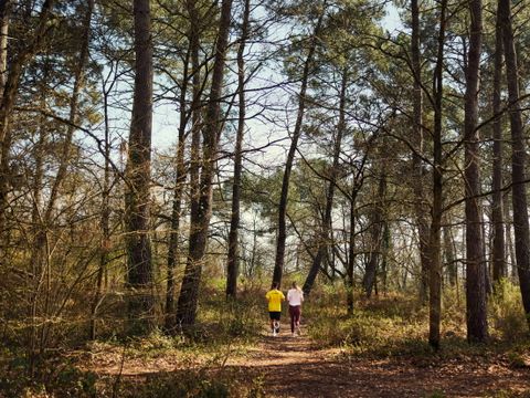 Center Parcs Le Bois aux Daims - Camping Vienne