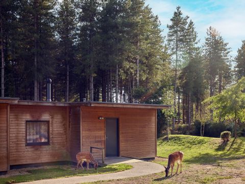 Center Parcs Le Bois aux Daims - Camping Vienne - Image N°28