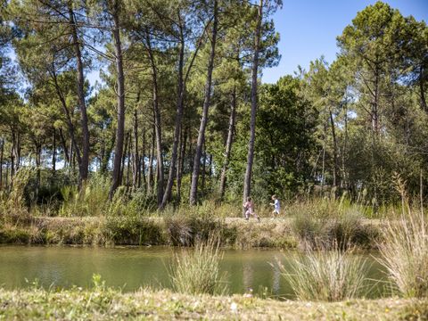 Center Parcs Le Bois aux Daims - Camping Vienne
