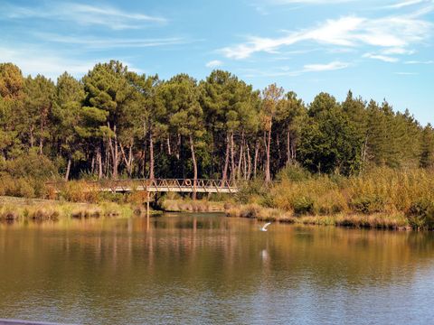 Center Parcs Le Bois aux Daims - Camping Vienne - Image N°53