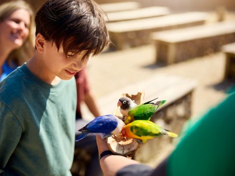 Center Parcs Le Bois aux Daims - Camping Vienne