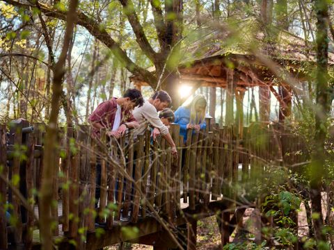 Center Parcs Le Bois aux Daims - Camping Vienne - Image N°32
