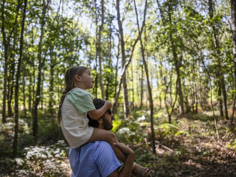 Center Parcs Le Bois aux Daims - Camping Vienne - Image N°22