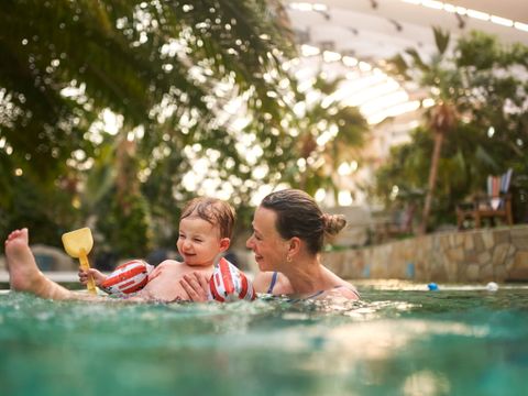 Center Parcs Le Bois aux Daims - Camping Vienne