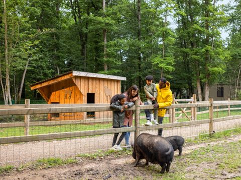 Center Parcs  Les Bois-Francs - Camping Eure - Image N°36