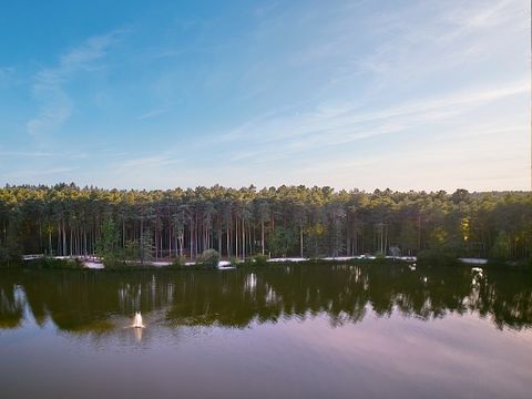 Center Parcs Les Hauts de Bruyères - Camping Loir-et-Cher - Image N°53