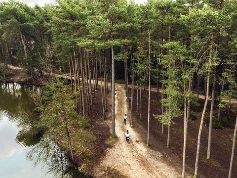 Center Parcs Les Hauts de Bruyères - Camping Loir-et-Cher - Image N°27