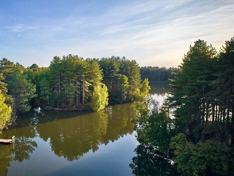 Center Parcs Les Hauts de Bruyères - Camping Loir-et-Cher - Image N°24