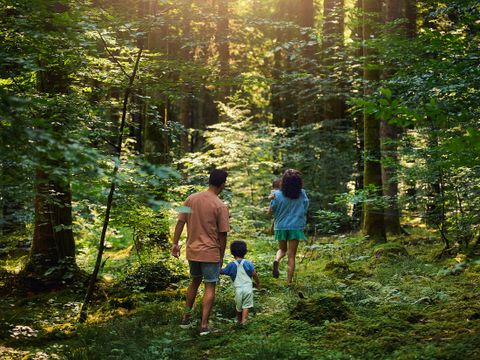 Center Parcs Les Trois Forêts - Camping Moselle - Image N°4