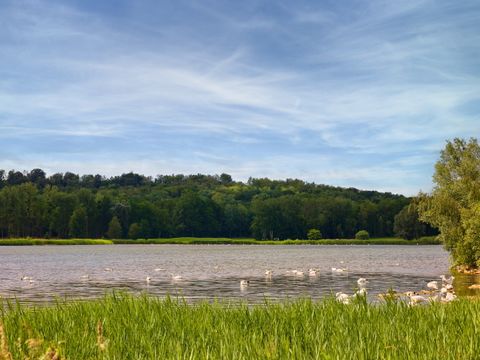 Center Parcs Le Lac d'Ailette - Camping Aisne - Image N°66