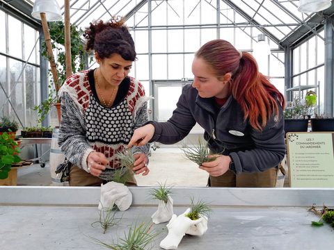 Center Parcs Villages Nature Paris - Camping Seine-et-Marne