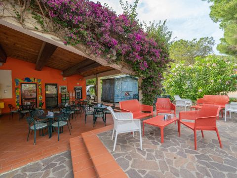 Camping Rosselba le Palme  - Camping Livourne