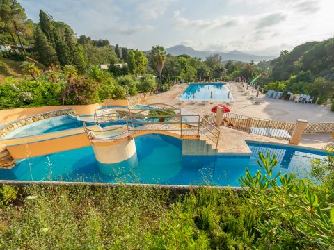 Camping Rosselba le Palme  - Camping Livourne