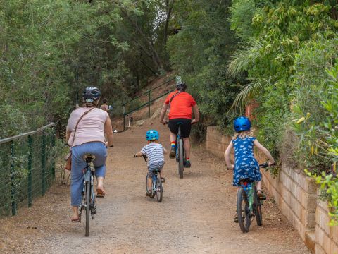 Camping Rosselba le Palme  - Camping Livourne