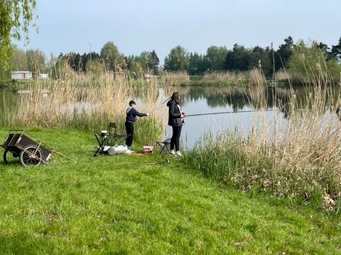 Camping Coeur d'Alsace - Camping Bas-Rhin