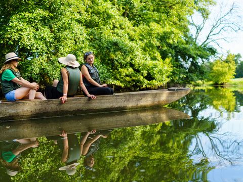 Camping Coeur d'Alsace - Camping Bas-Rhin