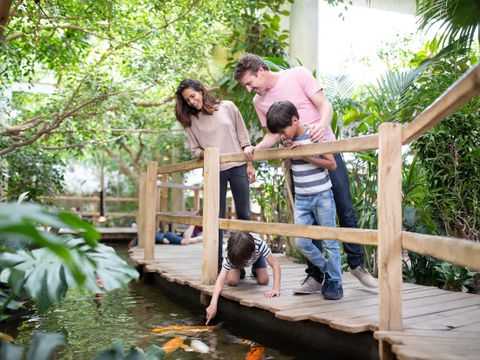 Center Parcs Port Zélande - Camping Goeree-Overflakkee - Image N°36