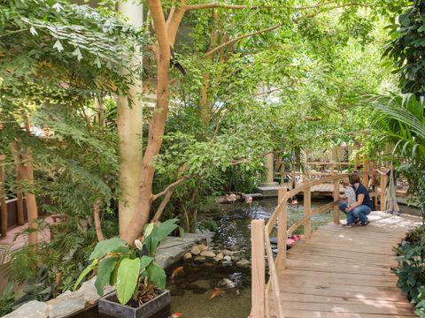 Center Parcs Port Zélande - Camping Goeree-Overflakkee - Image N°26