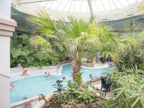 Center Parcs Port Zélande - Camping Goeree-Overflakkee - Image N°3