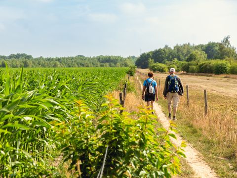 Vakantiepark Mölke - Camping Wierden - Image N°11