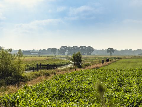Vakantiepark Mölke - Camping Wierden - Image N°32