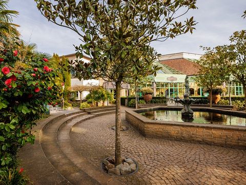 Center Parcs De Eemhof - Camping Zeewolde - Image N°66