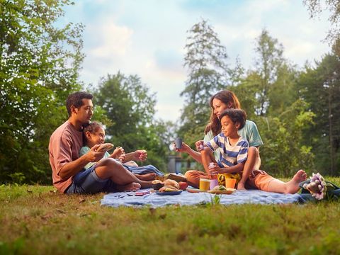 Center Parcs De Eemhof - Camping Zeewolde - Image N°48