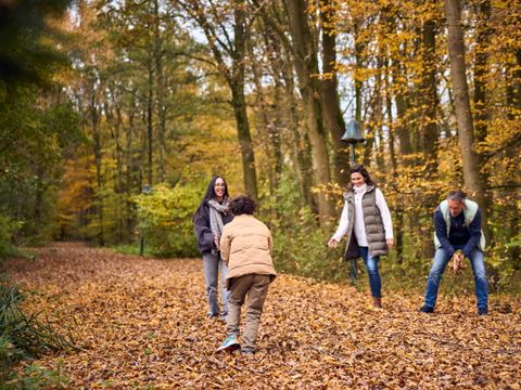 Center Parcs De Eemhof - Camping Zeewolde - Image N°13