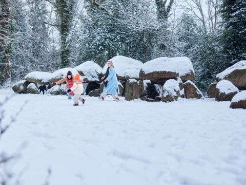Center Parcs De Huttenheugte - Camping Coevorden - Image N°45