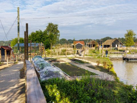 Center Parcs De Huttenheugte - Camping Coevorden - Image N°36