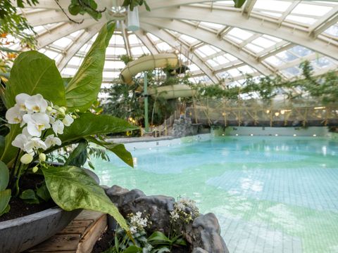 Center Parcs De Huttenheugte - Camping Coevorden