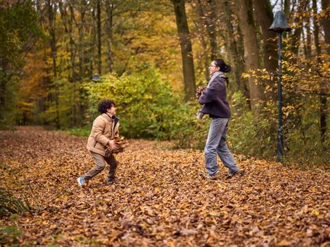 Center Parcs De Huttenheugte - Camping Coevorden - Image N°2