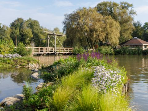 Center Parcs De Huttenheugte - Camping Coevorden - Image N°38