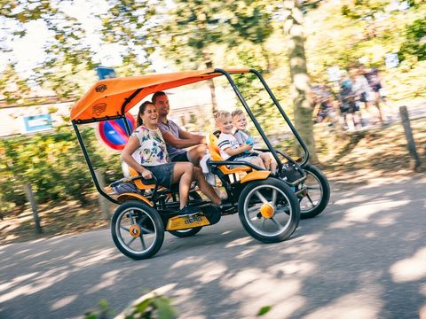 Landal Bospark De Schaapskooi - Camping Epe - Image N°2