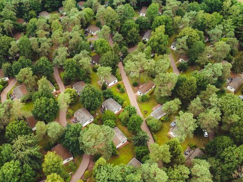 Roompot Bospark De Schaapskooi - Camping Epe